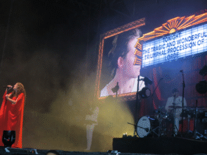 Lorde’s Toronto concert was a “royal” affair